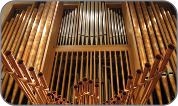 Organ Pipes